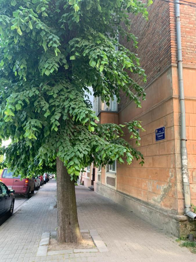 Vel Люкс Appartement Tsjernivsi Buitenkant foto